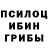 Псилоцибиновые грибы прущие грибы Aida Voron