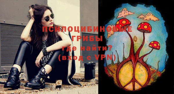 apvp Балабаново