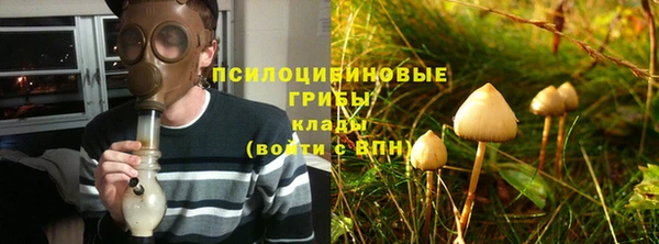 мяу мяу мука Баксан