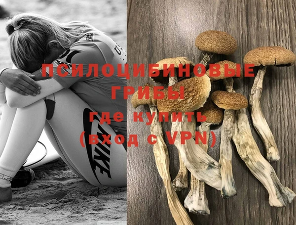мяу мяу мука Баксан